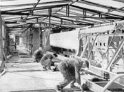 al-p4b15.JPG (16494 Byte)